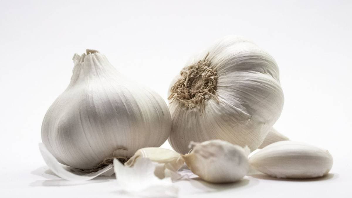 how to identify chinese garlic