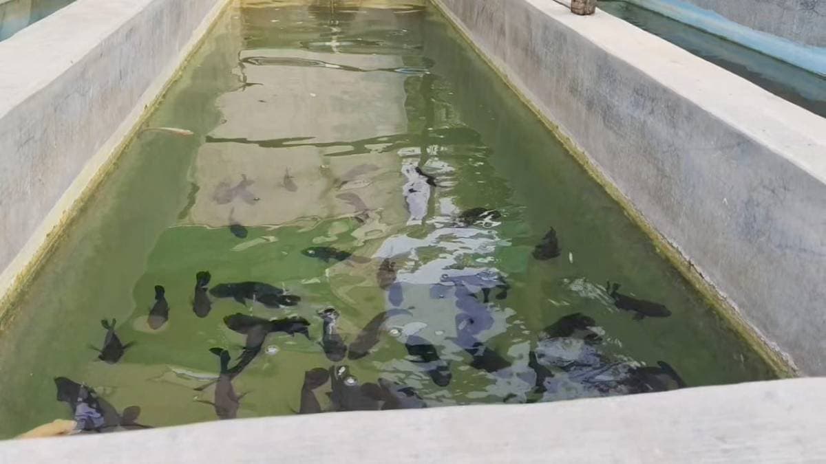 water issue in chinsurah area gnr