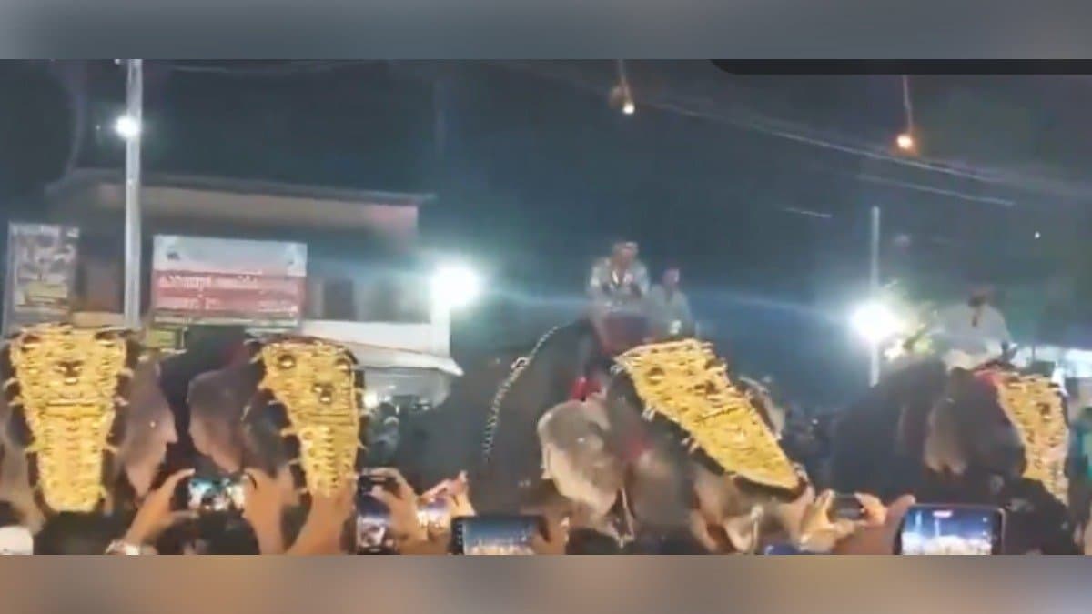 Elephant grabs man with trunk, tosses him into air at Kerala festival gnr