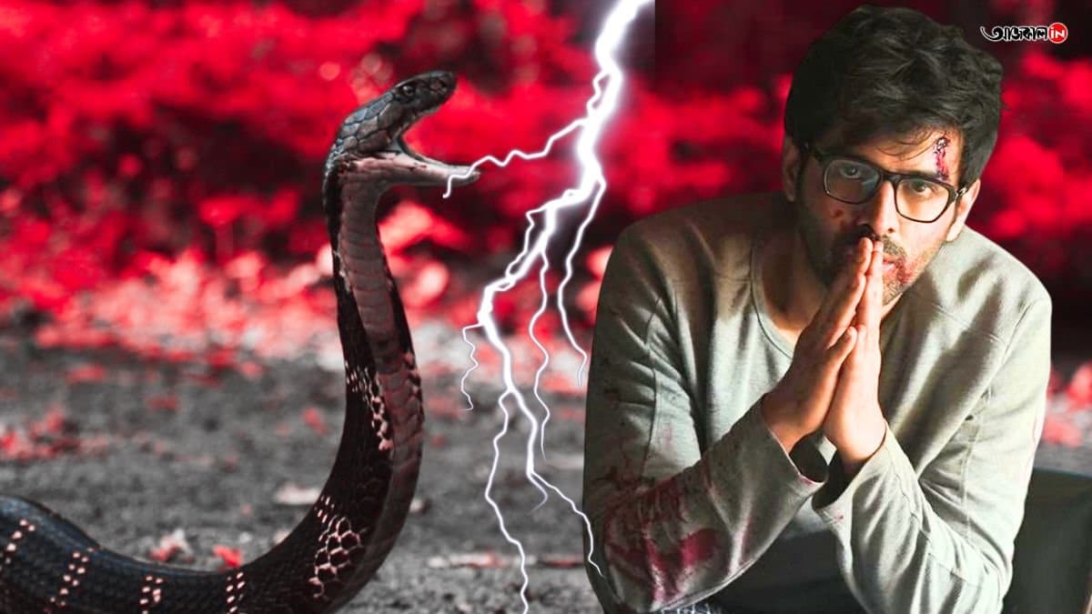 Kartik Aaryan s cinematic storm: new film new Heroine and a wild comedy adventure