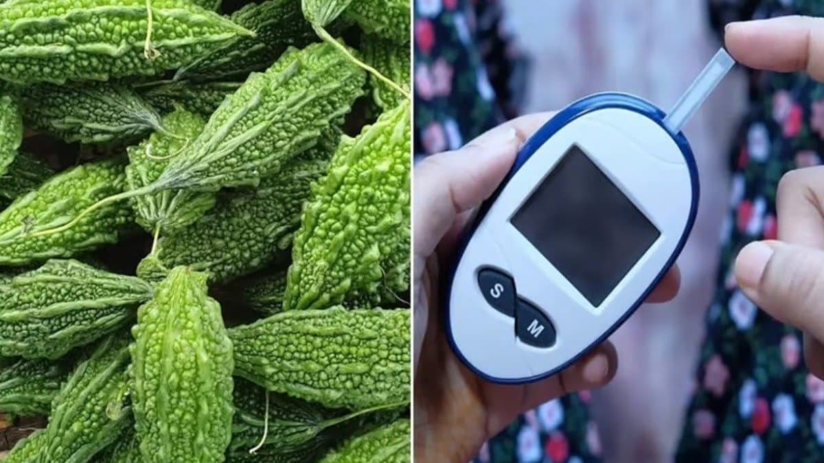 Does Bitter foods really help to control blood sugar know the actual truth to control diabetes