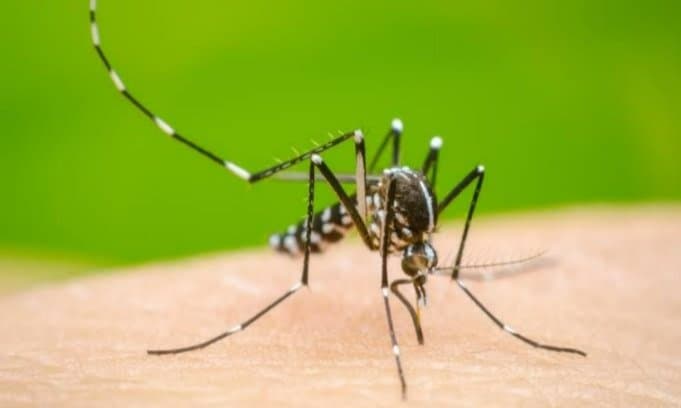 Dengue contro beside burdwan medical college gnr 