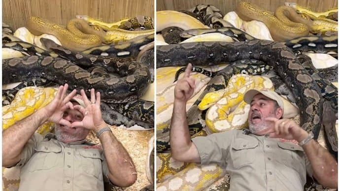 Man throws a snake party for his birthday in California gnr