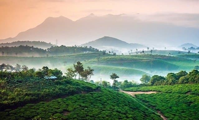 Here are 5 most-recommended places to visit in Kerala during monsoons