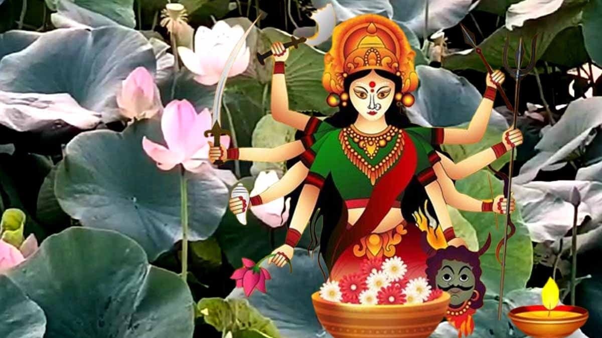 seller are worried about shortage in lotus flower this durga puja gnr  
