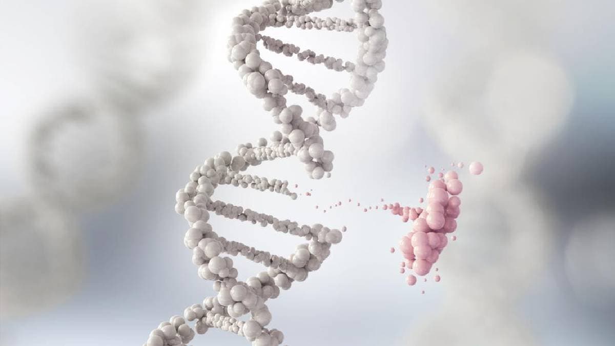 Rna that repairs Dna damage and it is a game changer Discovery