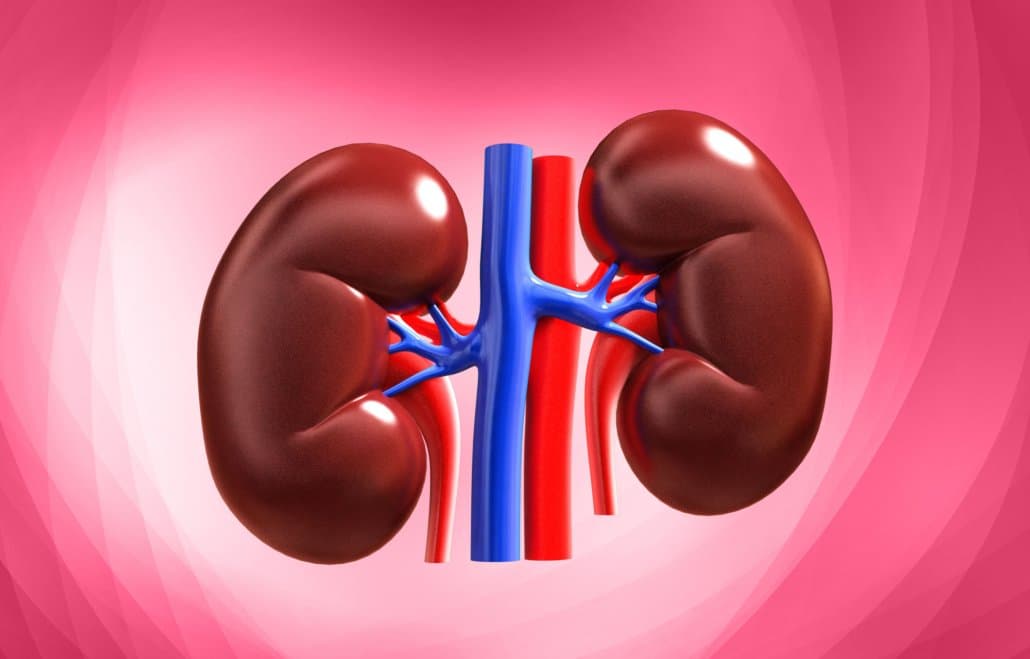 Three exercises for a healthy kidney