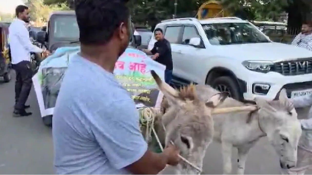 Pune Man Gets Donkeys To Pull after Fed Up With Thar Breaking Down