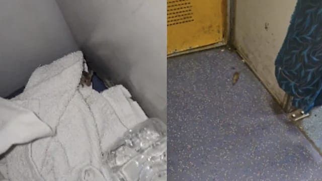 Rats Everywhere Mans Bizarre Experience On South Bihar Express AC Coach