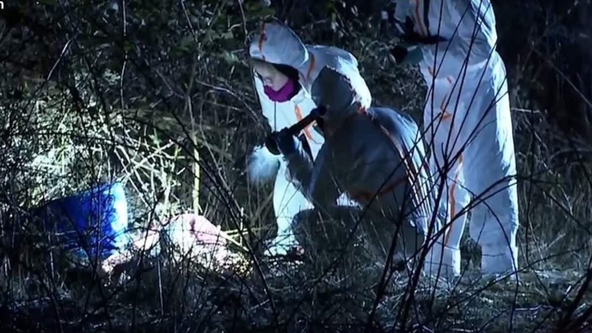 Chopped hand of love dol found cops launched probed 