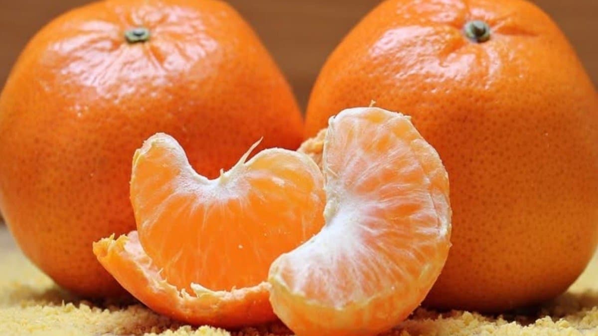 how to identify sweet orange in market these tips to follow before buying lif