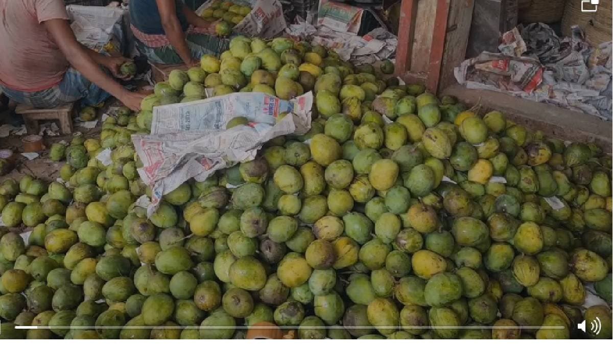 Mango loaded vehicle found missing enroute Bihar