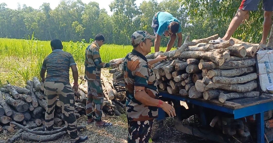 Huge mangroves were cut for sale?  forest department stopped before being smuggled gnr 