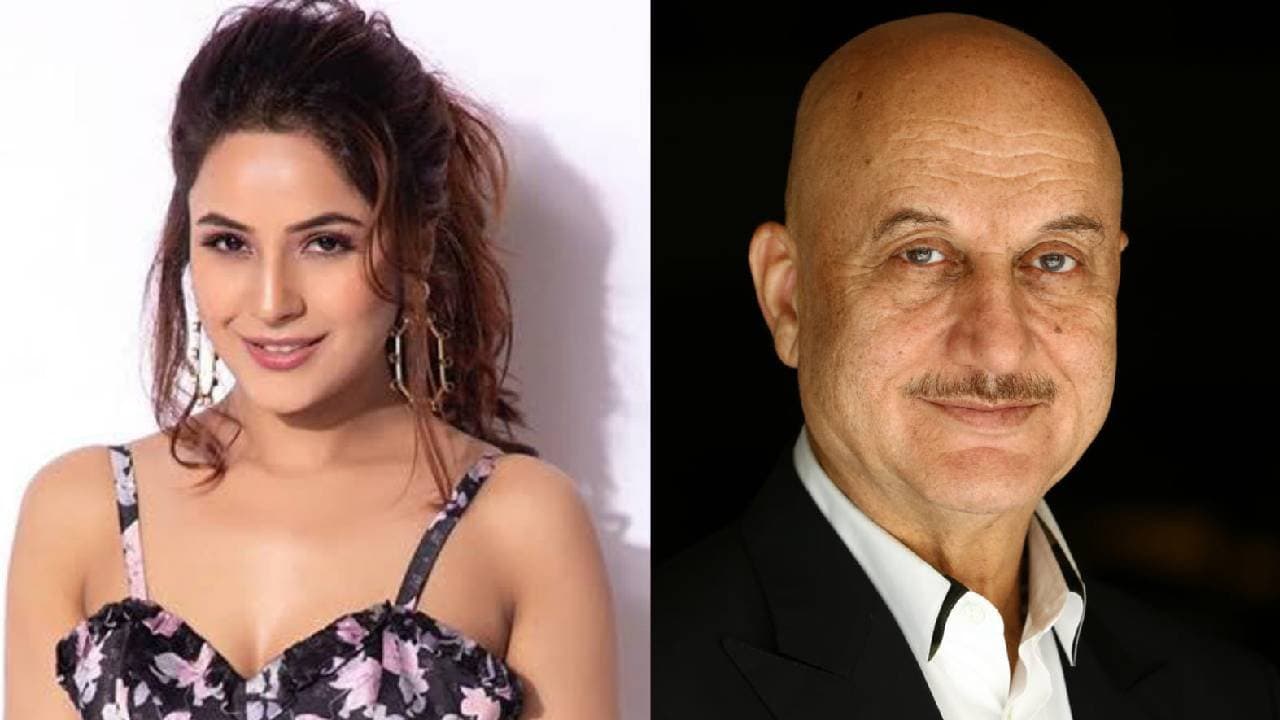 Shehnaaz Gill open up about her marriage Anupam Kher begins his 549th film with Sooraj Barjatya