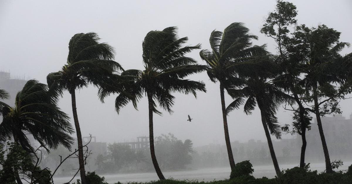 Cyclone Ditwah Update: IMD Forecast Tamil Nadu Braces For Heavy Rain