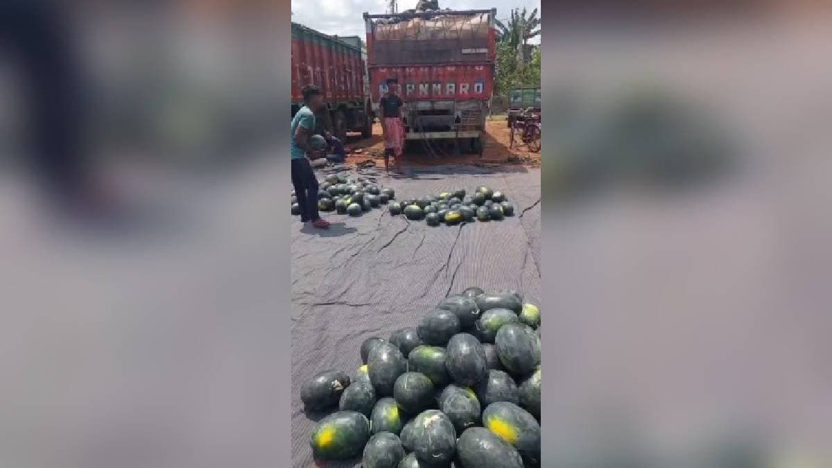 STF Rescued Quintals of Drugs Hidden Inside Watermelon Laden Truck