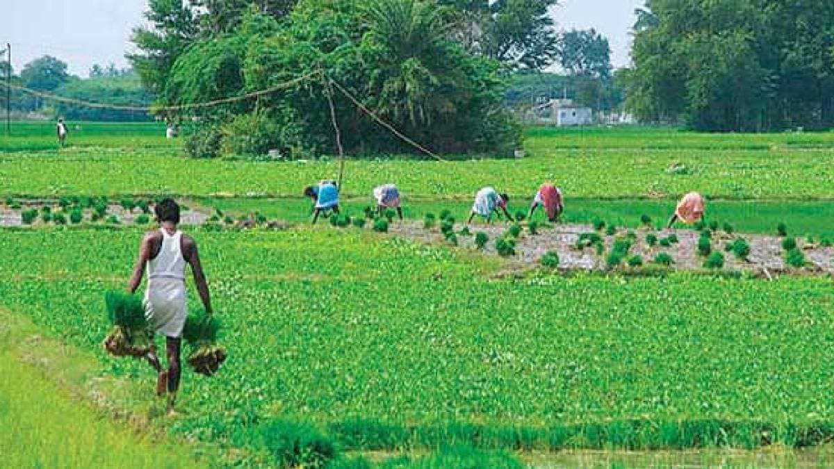 mobile app shows bihar agricultural land in the indian ocean