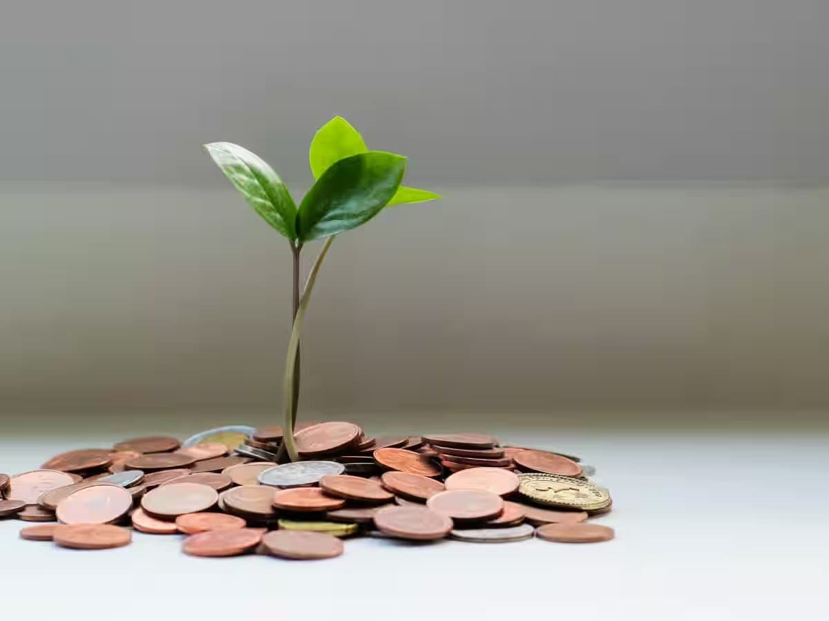 SIP in this mutual fund scheme gave Rs 10 lakh in just 5 years gnr 