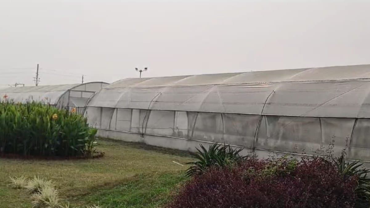 হুগলীর চুঁচুড়ায় ইজরায়েলি প্রযুক্তিতে তৈরী হচ্ছে চারা, তা দিয়ে সব্জি চাষ হবে গুজরাটে?