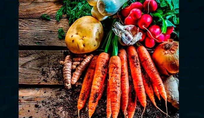 Lifestyle: স্যালাডে কাঁচা সবজি খাচ্ছেন? সম্পূর্ণ পুষ্টি পেতে কোন সবজি কাঁচা খাবেন না ?