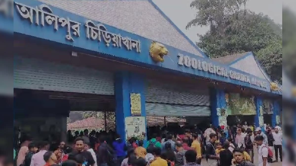 Alipore zoological garden with more two zoos in Bengal record highest visitors on 25 december