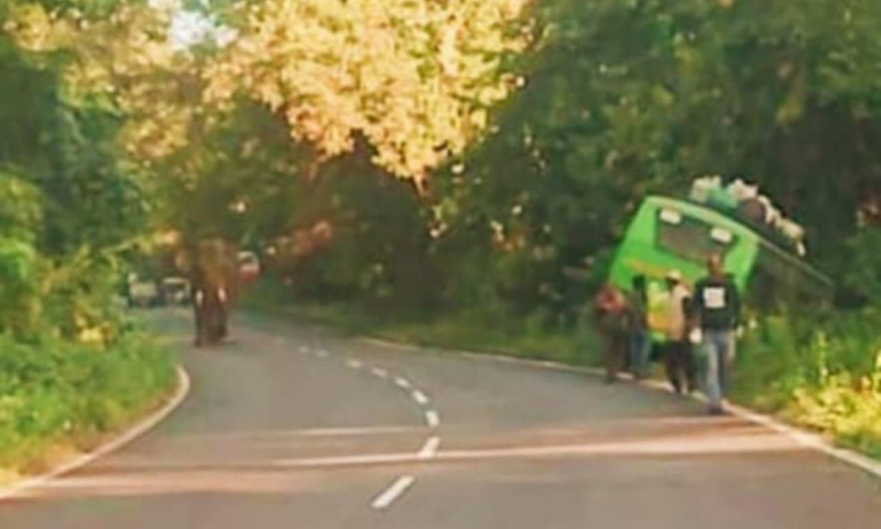 passenger bus entered the forest