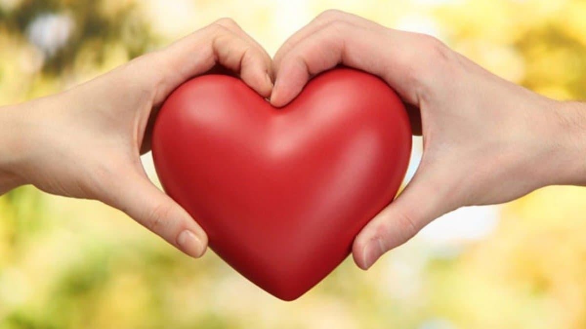 Why Love Feels Like Addiction The Neuroscience has logic Behind Our Strongest Emotions lif