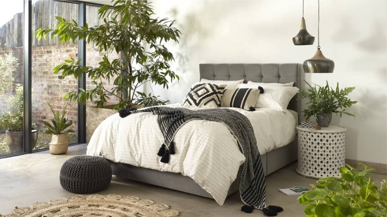 These bedroom plants naturally help you fall asleep faster