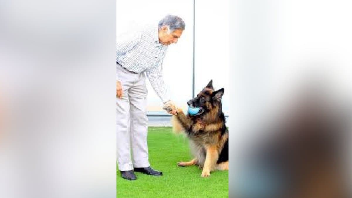 Tamil Nadu Bakery Pays Sweet Tribute To Ratan Tata know how gnr 