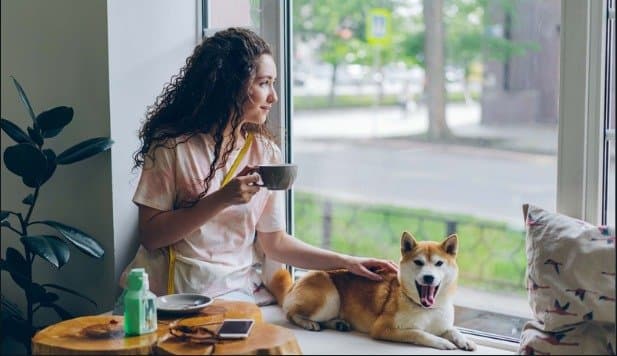 Pet friendly cafe in Kolkata