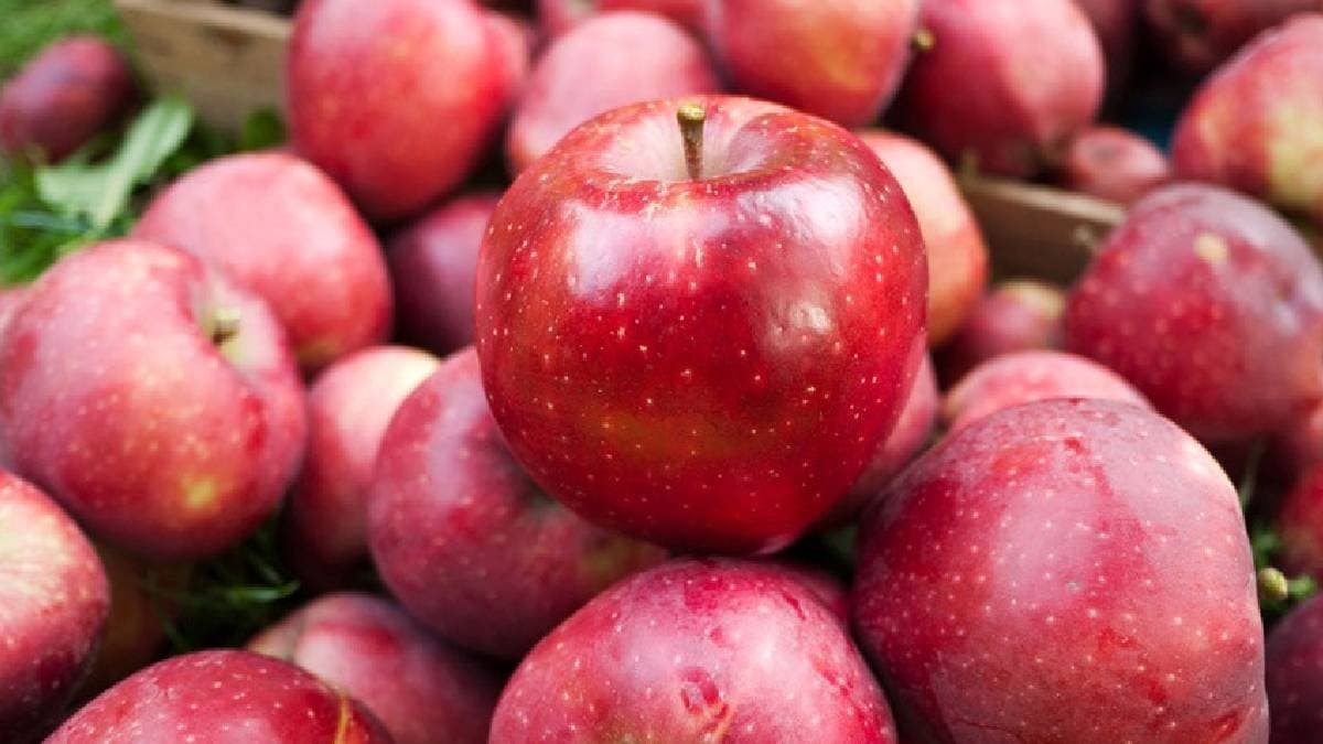 Kashmir cold storage units filled to capacity with apple produce gnr