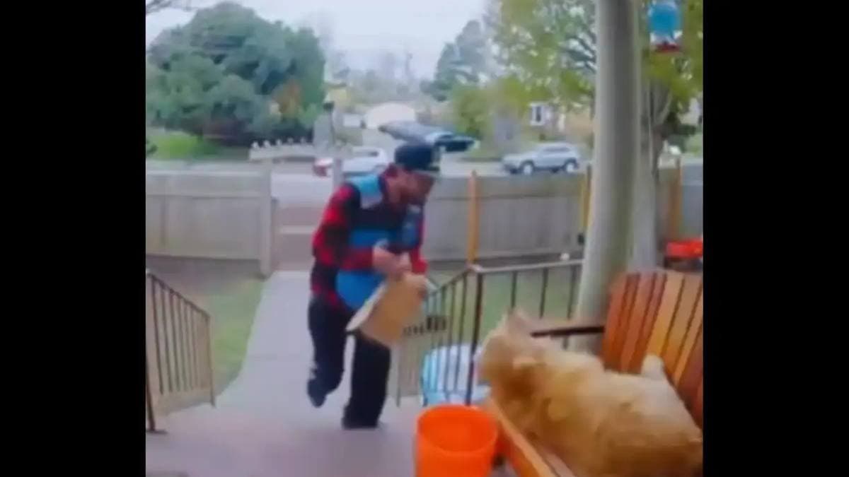 Delivery doing well job viral video