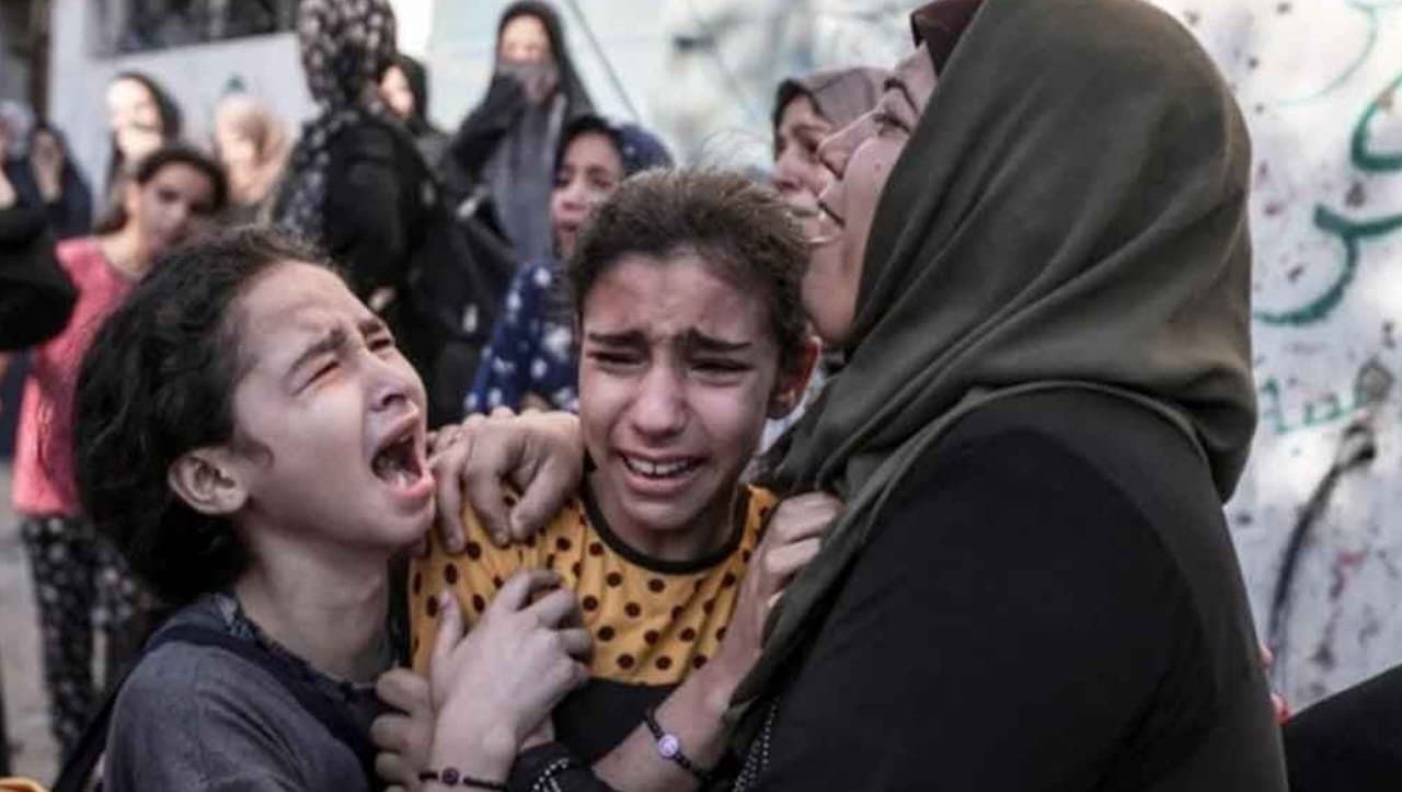  310 killed in the past 24 hours in gaza