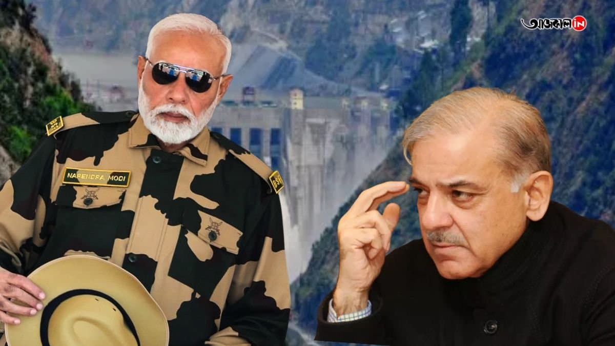 Pahalgam Attack: how the suspension of Indus Water Treaty will effect Pakistan