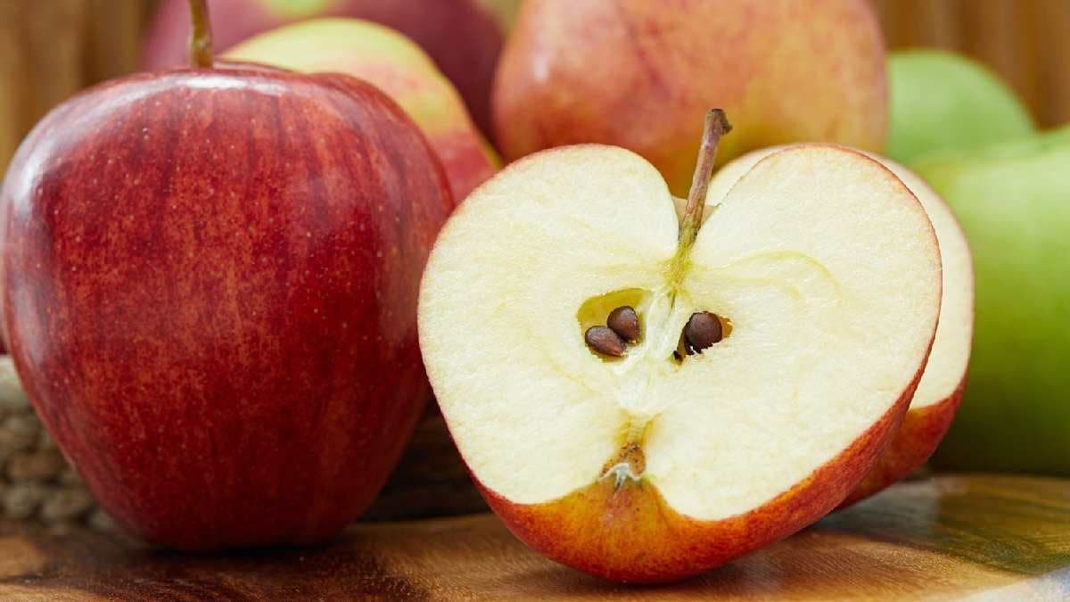 Fruit Seeds people should avoid poisonous fruit seeds