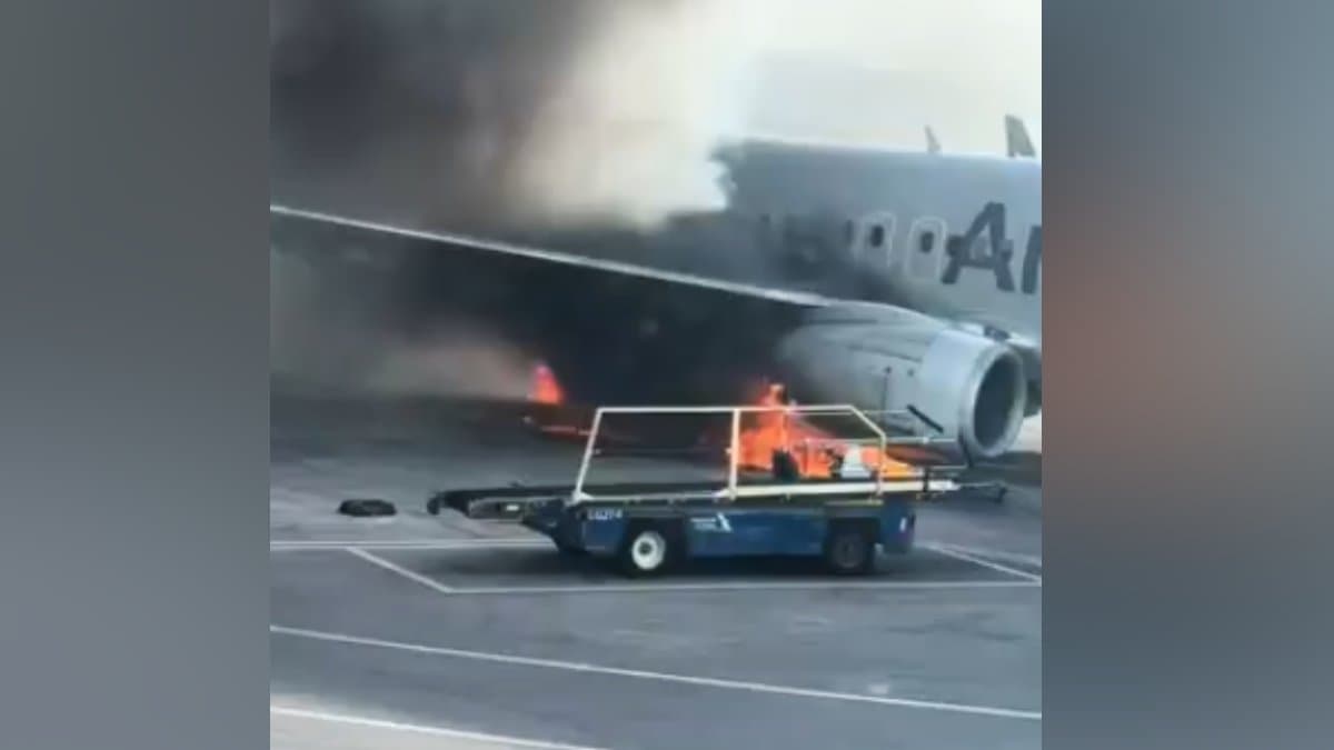 American Airlines Plane Catches Fire Terrified Passengers Seen Standing On Wing