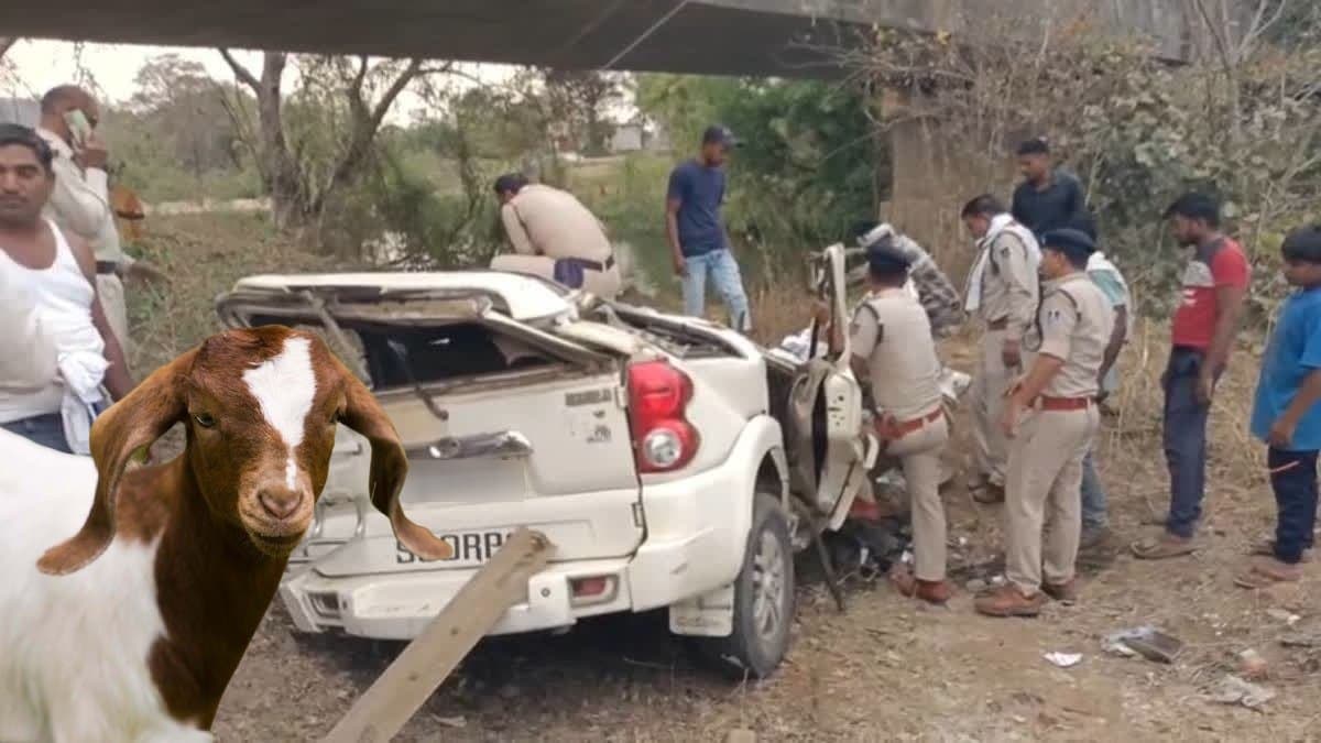 Four died from a same family in a road accident in Jabalpur