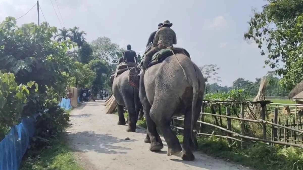 Rhino for the shelter strayed into the locality in North Bengal