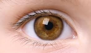 how to protect your eye_gnr