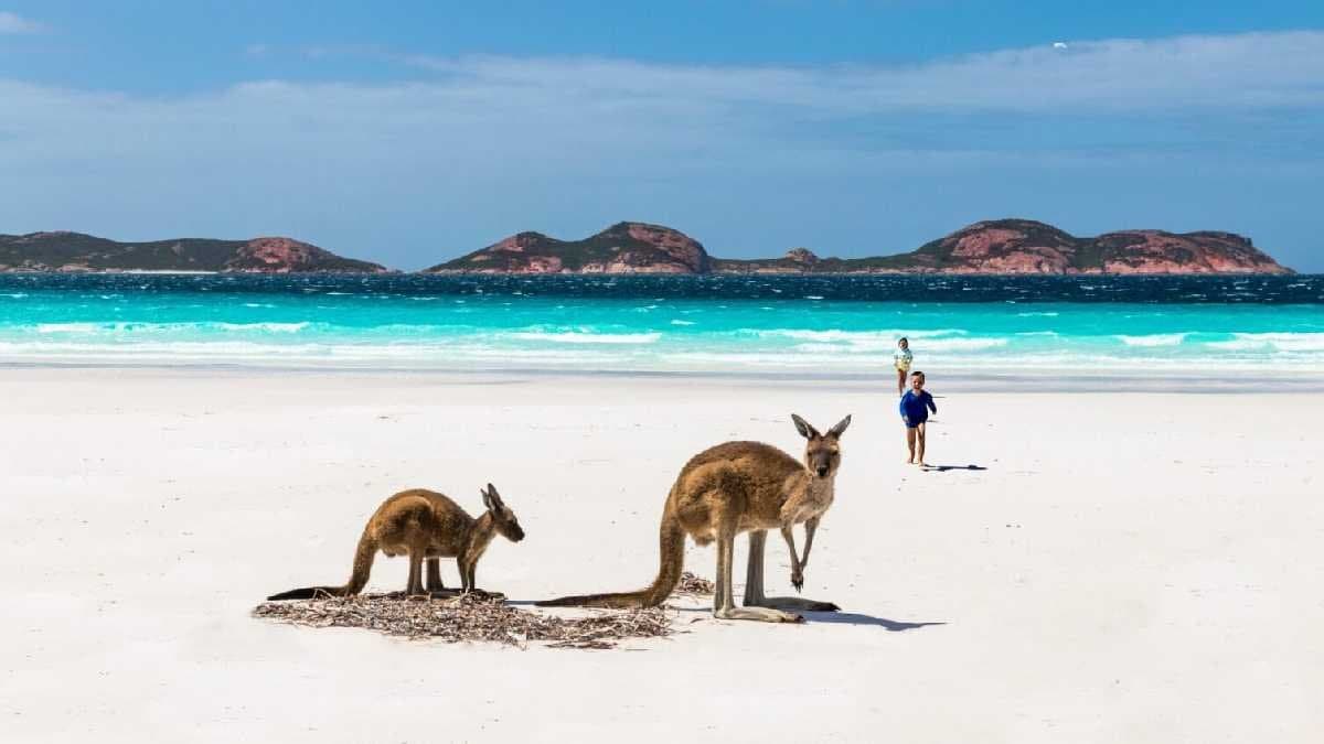 Worlds fastest continent australia is on a collision course with asia gnr 