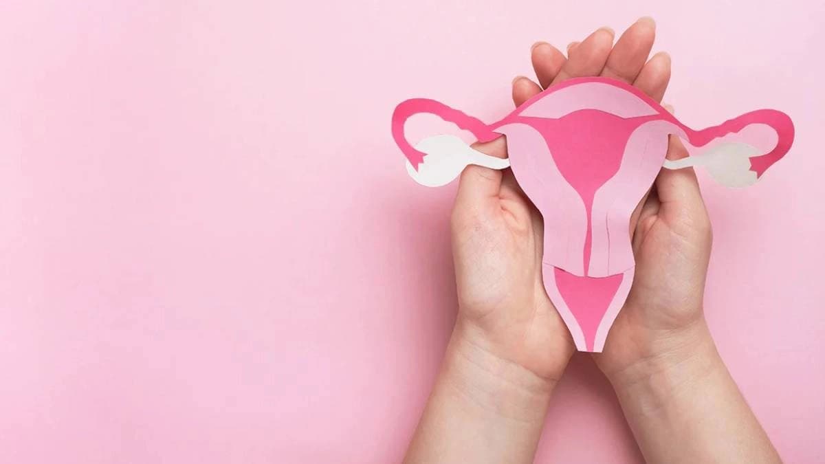 Nutritionist shares 5 foods every woman over 50 should include in their diet for post menopausal health