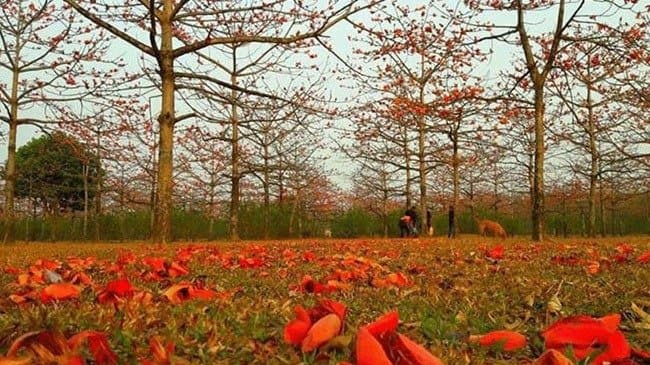 Winter chills disappear from south Bengal, here’s where rainfall expected