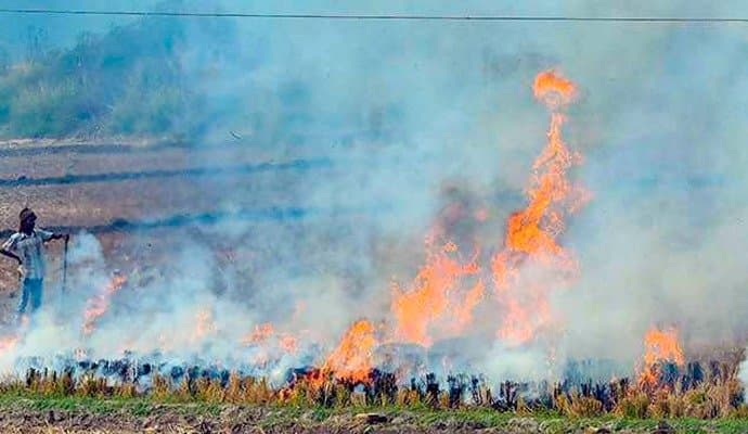 Farm Fires Down  In Punjab, Haryana 