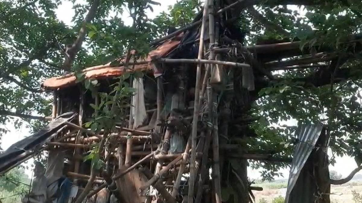 Machan Baba from his tree top shelter prays for all during India-Pakistan conflict