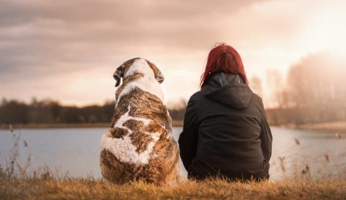  5 adorable signs your dog considers you its mother