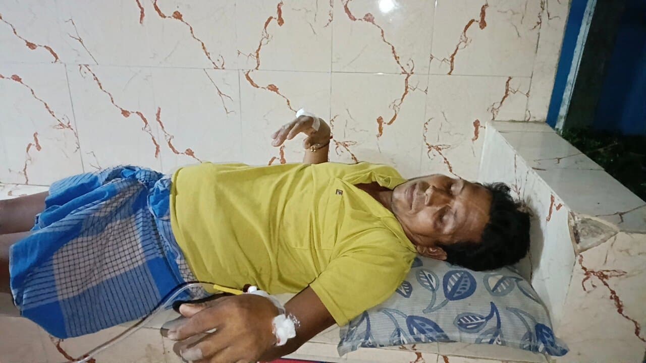 Malda two hospitalized after pigs bite gnr