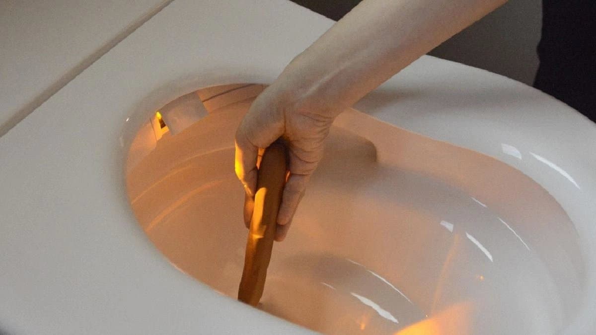 Japanese Company discovers Modern commode that can examine stool