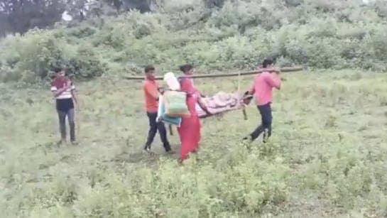 Pregnant Woman Carried In Cot Gave Birth Before Reaching Hospital in Madhya Pradesh