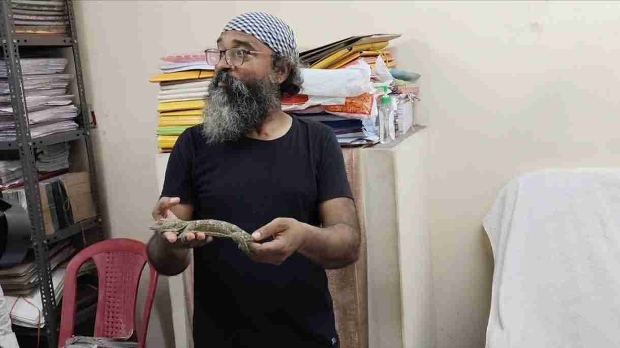 Tokay gecko Rescued in Hooghly