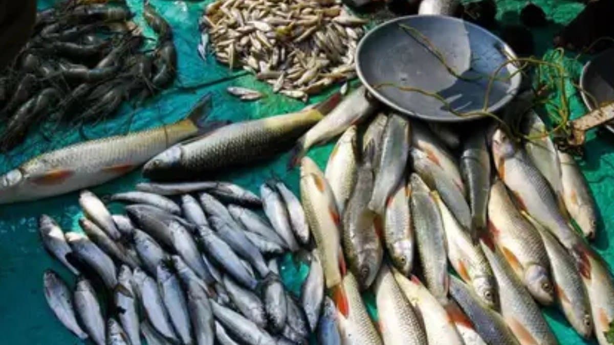  5 fishes for healthy hair and skin tips for glowing skin and hair fall